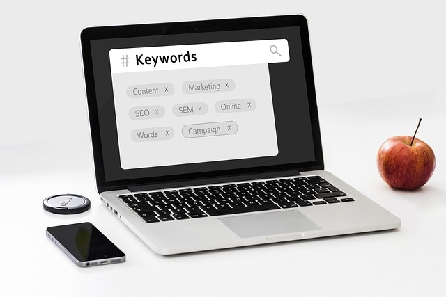 Small and Medium Business SEO programme